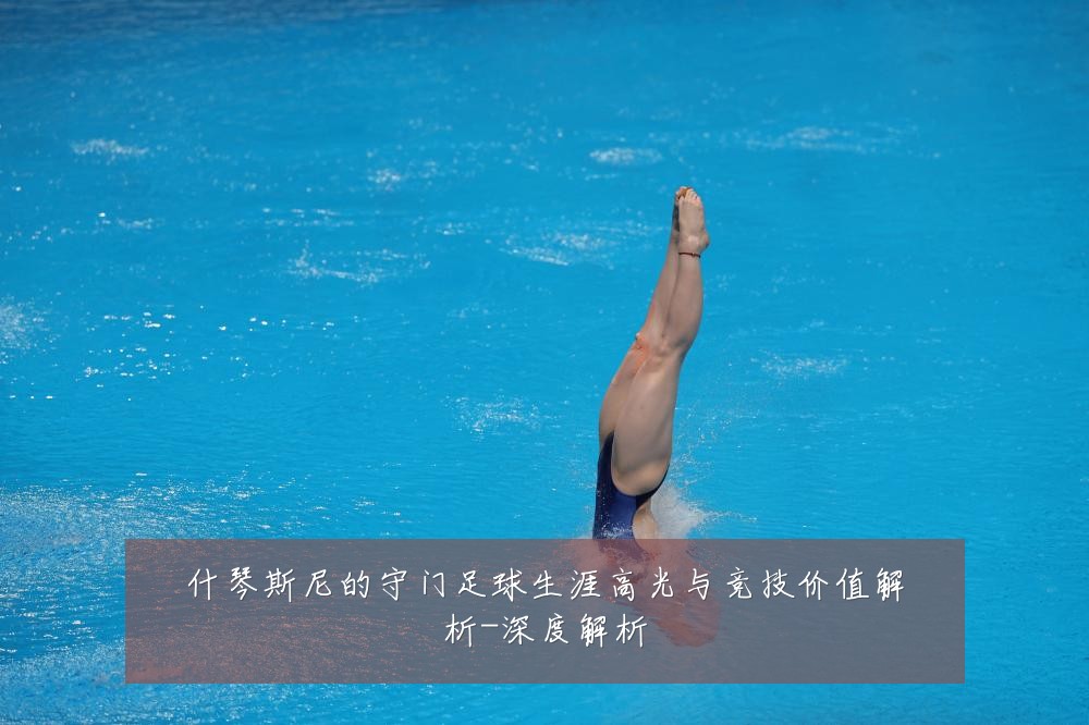 什琴斯尼的守门足球生涯高光与竞技价值解析-深度解析